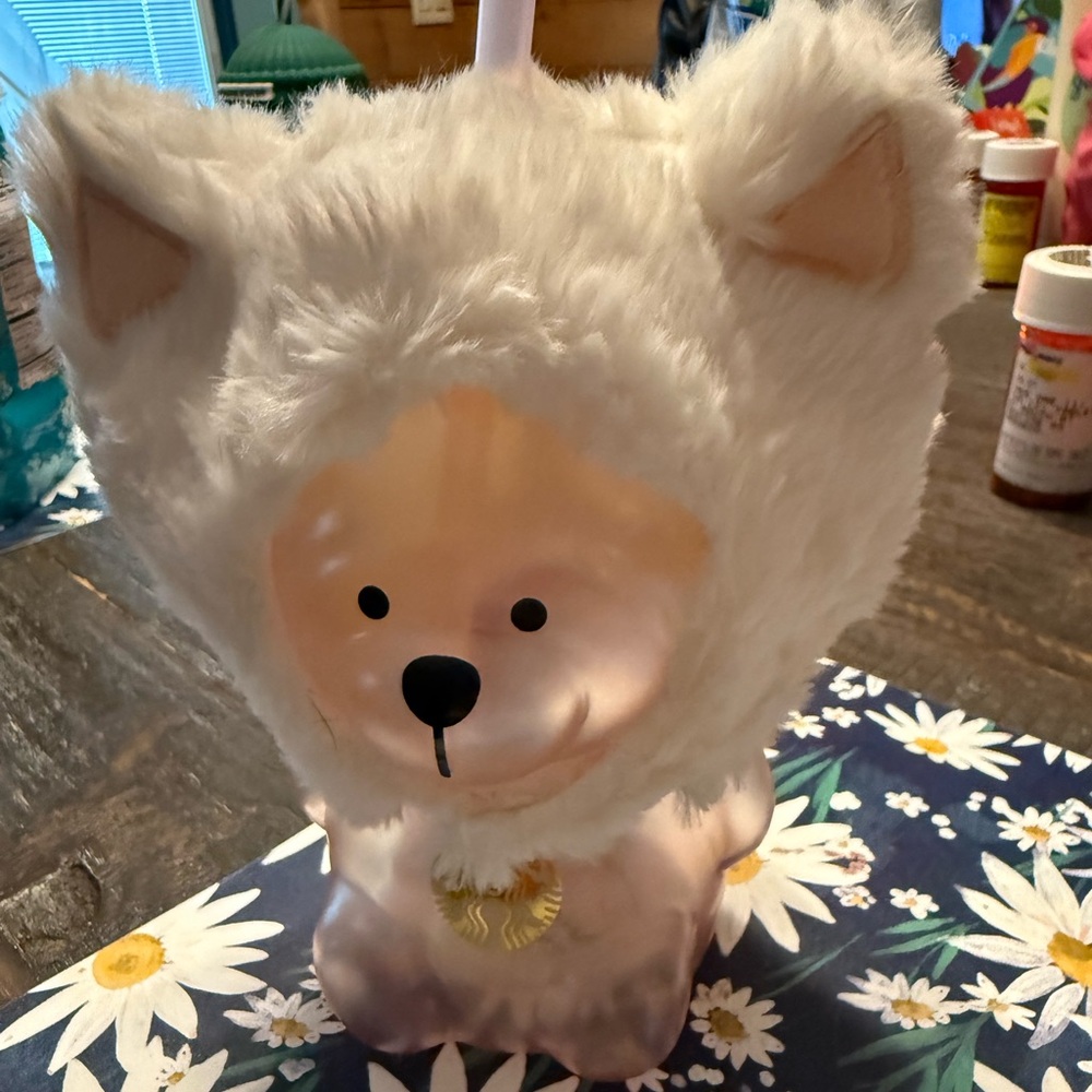 Starbucks Bear cup from Japan